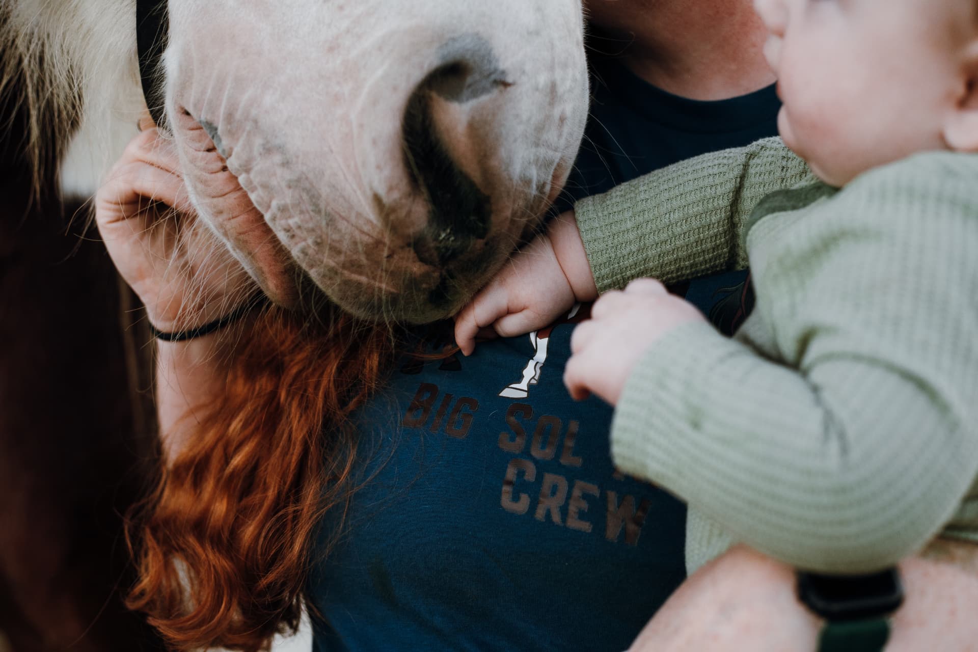 A horse at the ranch