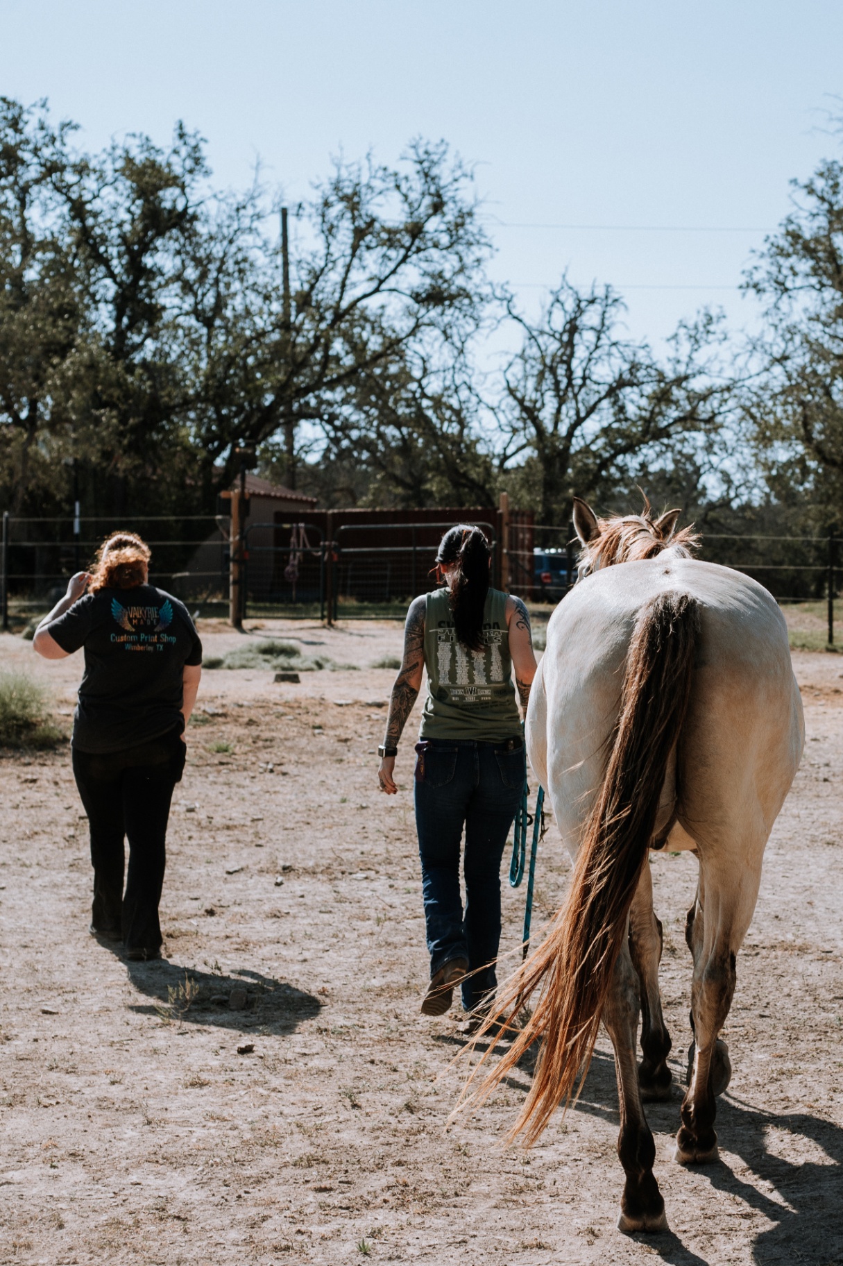 Trainers walking a horse out to the arena